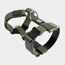Bullybillows Bullybillows - 4Cm Slip On Collar 2-Tone