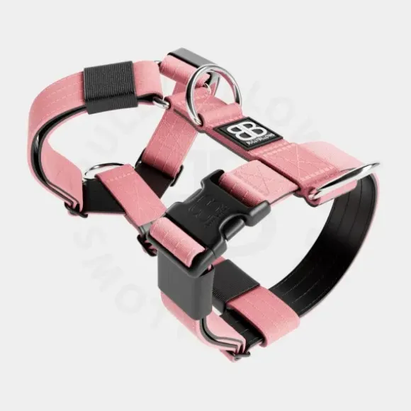 Bullybillows Bullybillows Lighter Combat Collar 5Cm