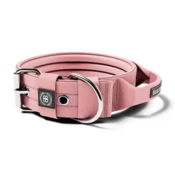 Bullybillows 5Cm Pin Buckle Collar With Handle & Robust Hardware