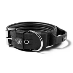 Bullybillows 4Cm Pin Buckle Collar With Handle & Robust Hardware
