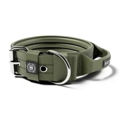 Bullybillows 4Cm Pin Buckle Collar With Handle & Robust Hardware