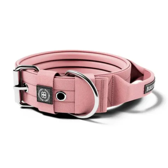 Bullybillows 4Cm Pin Buckle Collar With Handle & Robust Hardware