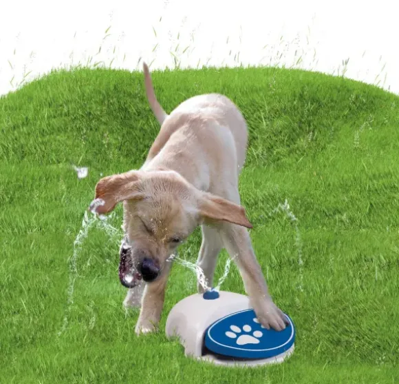 Coolpets Coolpets Splash Pool Sproeier 100Cm