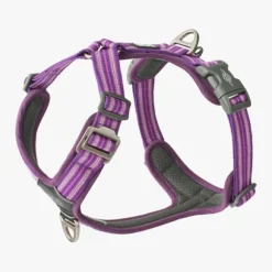 Dog Copenhagen Dog Copenhagen Urban Explorer Halsband 3.0 Nieuw