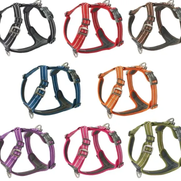 Dog Copenhagen Dog Copenhagen Urban Explorer Halsband Model 2020 Niet Ruilen Artikel Xs
