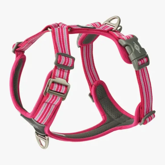 Dog Copenhagen Dog Copenhagen Comfort Walk Pro Harness Model 2020 Niet Ruilen Artikel