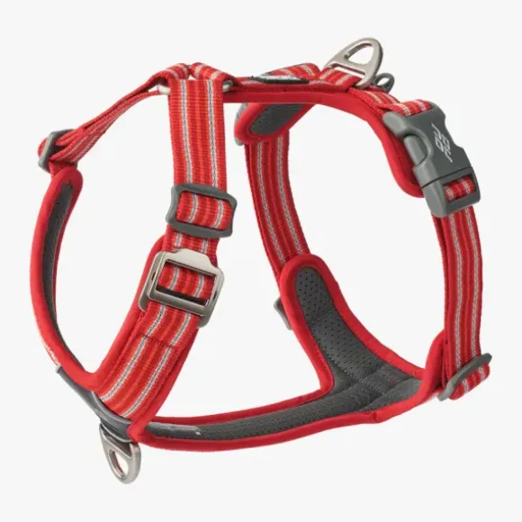 Dog Copenhagen Dog Copenhagen Comfort Walk Air 3.0 Harness