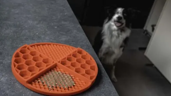 Eat Slow Live Longer Lick Mat Wobble Bowl