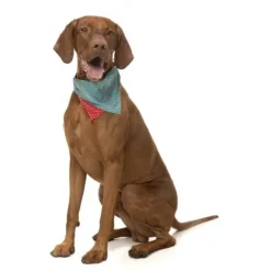 Fuzzyard Fuzzyard Xmas Bandana Ginger Homies