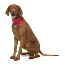 Fuzzyard Fuzzyard Xmas Bandana Ginger Homies