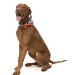 Fuzzyard Fuzzyard Xmas Bowtie Naughty Ginger