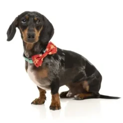 Fuzzyard Fuzzyard Xmas Bowtie Ho Ho Howdie