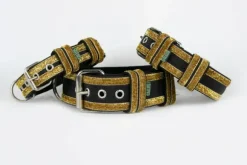 Gallus Gallus Halsband Black/Gold