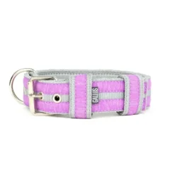 Gallus Gallus Halsband Groen / Wit