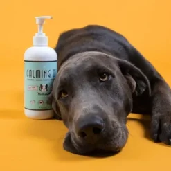 Natural Dog Company Natural Dog Company Wild Alaskan Salmon Oil