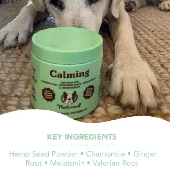 Natural Dog Company Natural Dog Company Wrinkle Wipes