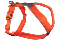 Non Stop Dogwear Non Stop Dogwear Glacier Jacket 2.0