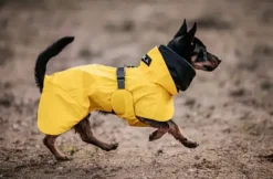 Paikka Paikka Visibility Raincoat Lite Yellow
