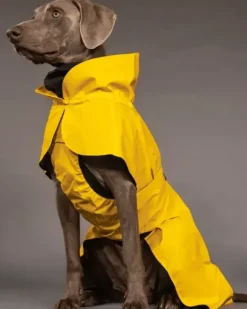 Paikka Paikka Visibility Raincoat Emerald