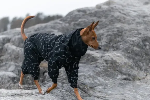 Paikka Paikka Winter Suit