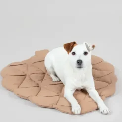 Paikka Playmat For Dogs - Pinecone