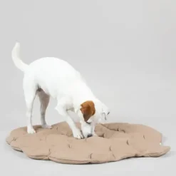 Paikka Playmat For Dogs - Pinecone