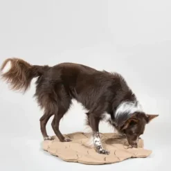 Paikka Playmat For Dogs - Pinecone