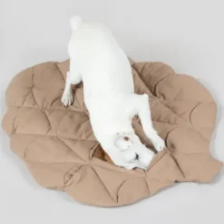 Paikka Playmat For Dogs - Pumpkin