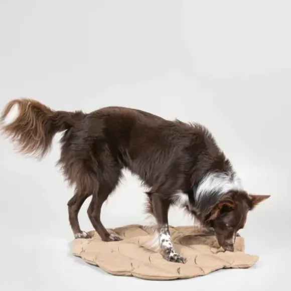 Paikka Playmat For Dogs - Square Grey