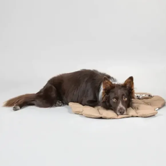 Paikka Playmat For Dogs - Square Grey