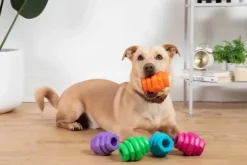 Project Hive Pet Company Hive Toy