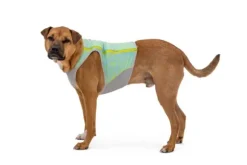 Ruffwear Ruffwear Swamp Cooler Koelvest