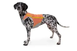 Ruffwear Ruffwear Swamp Cooler Koelvest
