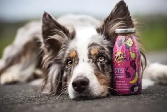 Smoothiedog Smoothiedog Limited Edition Sweet Summer (Konijn)