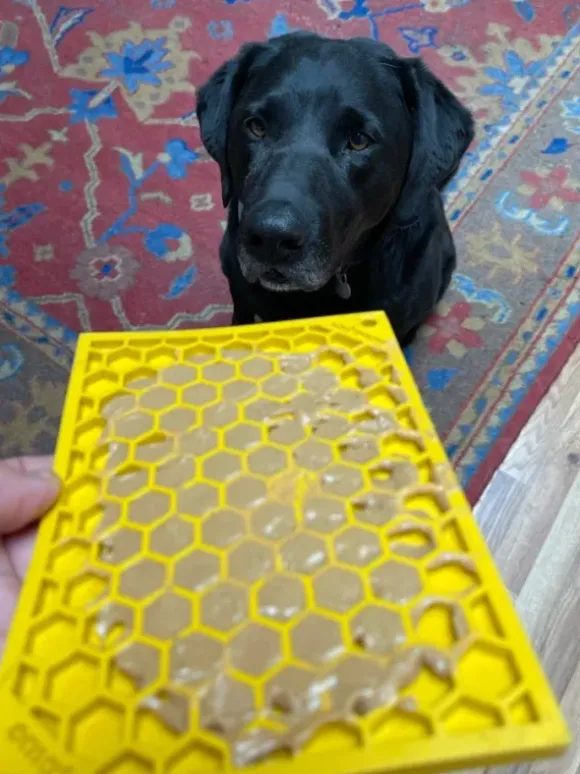 Sodapup Sodapup Honeycomb Enrichment Likmat