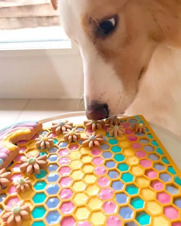 Sodapup Sodapup Honeycomb Slow Feeder Bowl